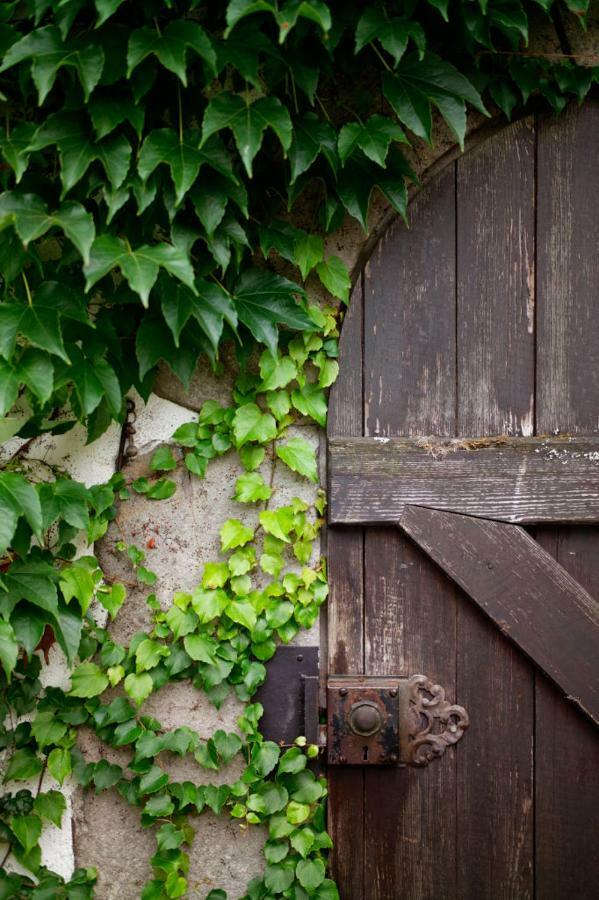 Obere Muehle - Scheunenwohnung Mitten Im Gruenen Baunach Ngoại thất bức ảnh