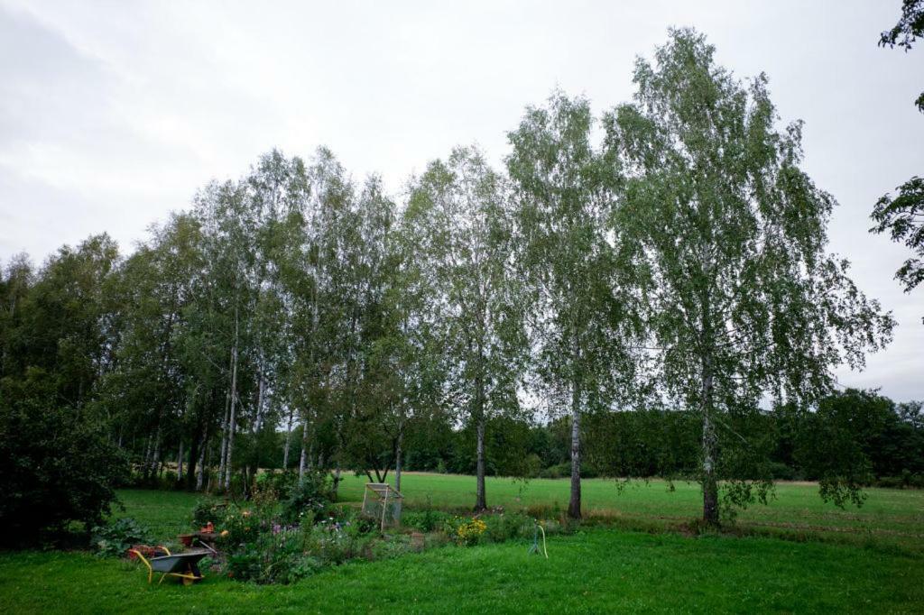 Obere Muehle - Scheunenwohnung Mitten Im Gruenen Baunach Ngoại thất bức ảnh